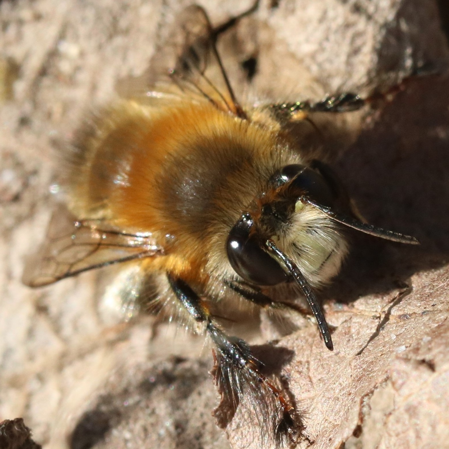 Aprendiendo de la fotografía