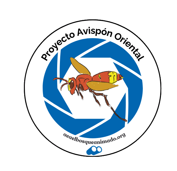 Logo del Proyecto Avispón Oriental, impulsado por la asociación Bosque Animado
