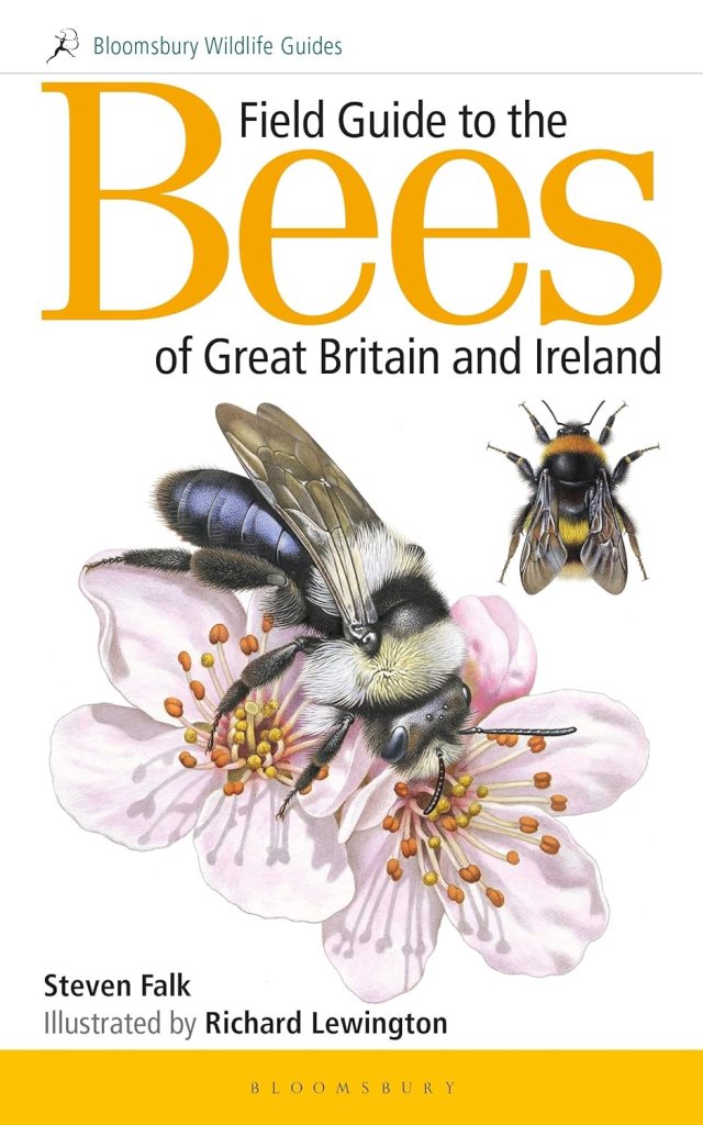 Portada del libro Field Guide to the Bees of Great Britain and Ireland, de Steven Falk, ilustrado por Richard Lewington
