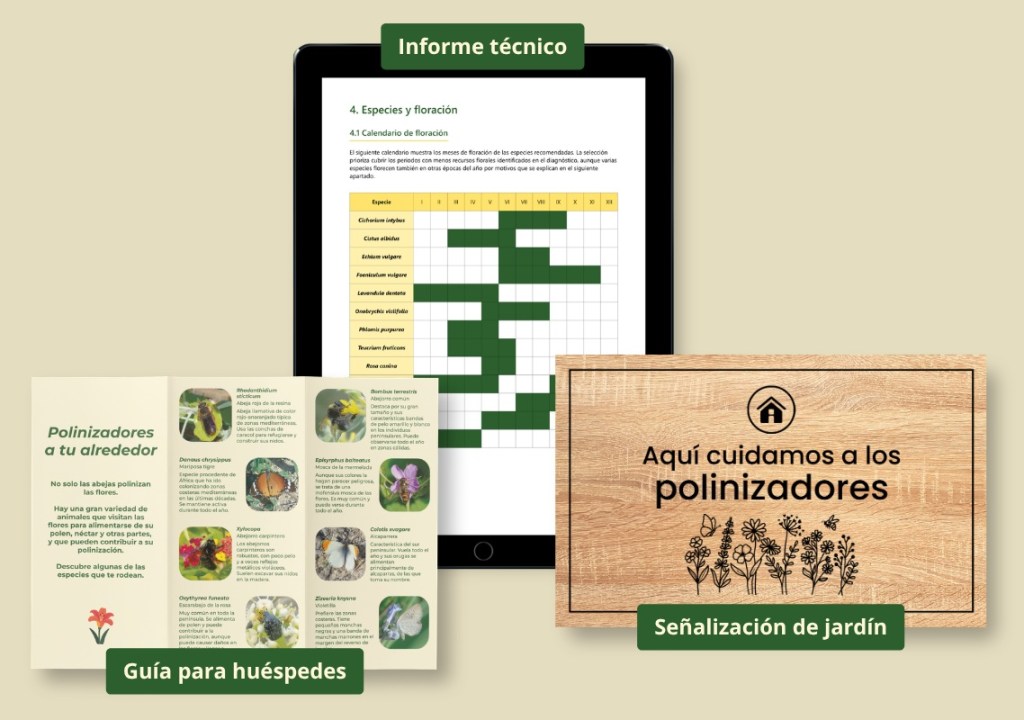Infografía sobre polinizadores, incluyendo un informe técnico en una tablet, una guía para huéspedes y una señalización de jardín.